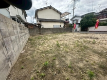 現地写真